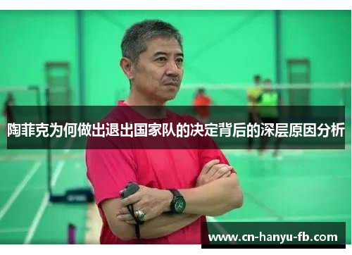陶菲克为何做出退出国家队的决定背后的深层原因分析