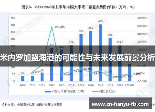 米内罗加盟海港的可能性与未来发展前景分析