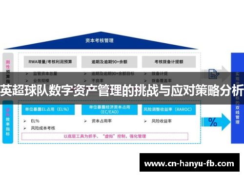 英超球队数字资产管理的挑战与应对策略分析