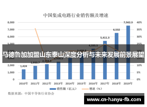 马德鲁加加盟山东泰山深度分析与未来发展前景展望