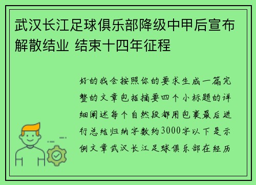 武汉长江足球俱乐部降级中甲后宣布解散结业 结束十四年征程